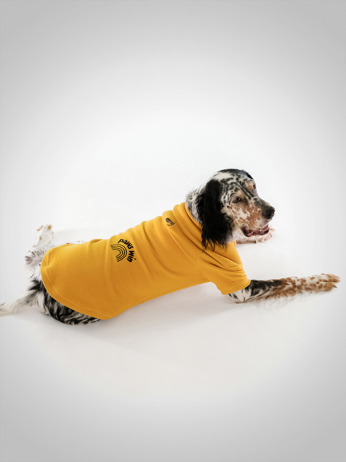 Köpek Sweatshirt - Winner